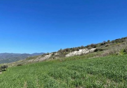 Fyti, Polis Сельскохозяйственная Земля На продажу | C8513