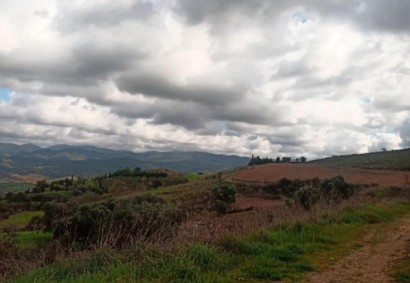 Simou, Polis Сельскохозяйственная Земля На продажу | C8520