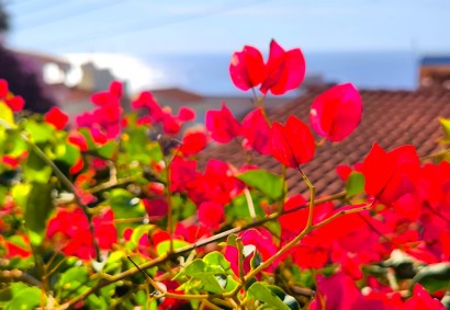 Kissonerga, Paphos Отдельная Вилла На продажу | BK10381