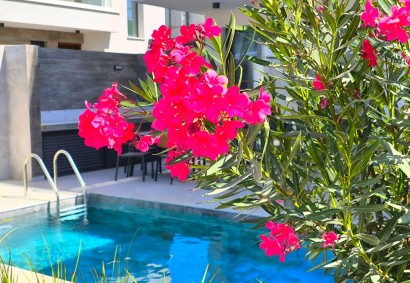 Pegeia, Paphos Отдельная Вилла На продажу | TRK10603