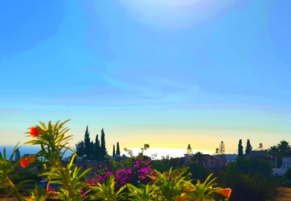 Pegeia, Paphos Отдельная Вилла На продажу | C11734